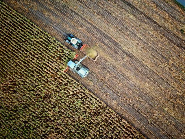 Investing in Swiss agriculture: complete investor guide for 2026